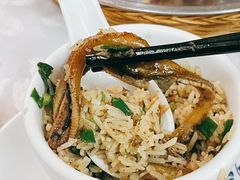 -台山第一家兴华黄鳝饭·黄鳝婆(彭沙坑总店)
