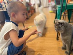 -小时光咖啡馆(开森度假森林店)