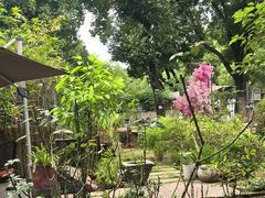 -谷咖啡·鲜花绿植花园餐厅