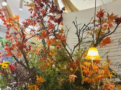 -知物癖(牛王庙店)