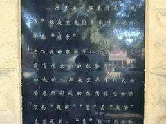 -簋街