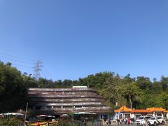 -深圳仙湖植物园