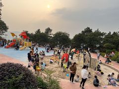 -铁山坪森林公园