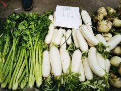 -海派健身(洋河力帆店)