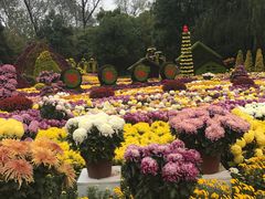 -共青国家森林公园-售票处