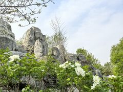 -太阳宫公园