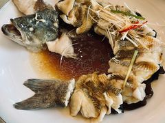 -博雅渔港·融合菜(维也纳国际大酒店)
