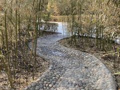 -菖蒲河公园