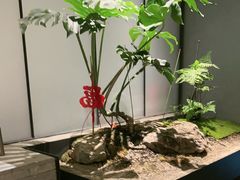 -望京辣宴·古法川菜(望京店)