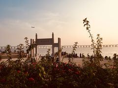 -宝安西湾红树林湿地公园