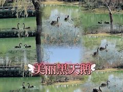 -苏州东太湖生态园