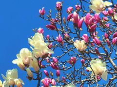 -山东大学(趵突泉校区)