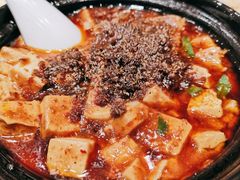 陈麻婆豆腐-陈麻婆豆腐(春熙店)