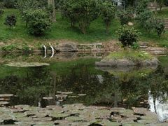 -深圳国际园林花卉博览园