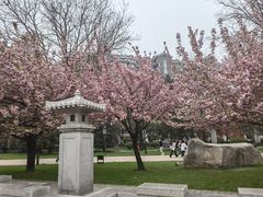 -唐城墙遗址公园