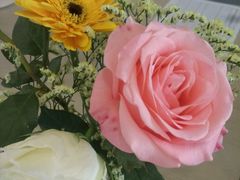 -绝城芋儿鸡(犀浦旗舰店)