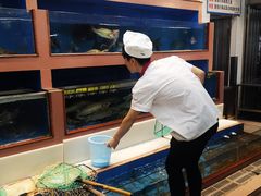 -皮记海鲜1995(寮步店)