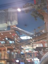 -卡通尼·Safari非洲探索乐园·生日会(金桥国际商业广场店)