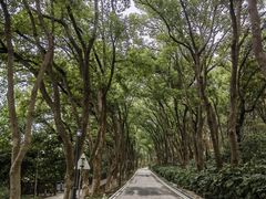 -上海市保健医疗中心