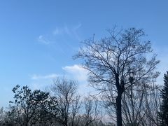 -济南国际园博园