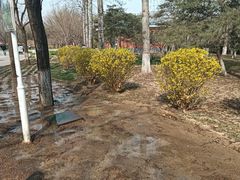 -燕郊植物园