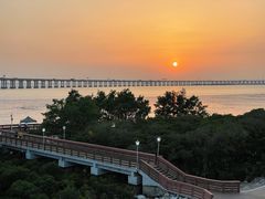 -宝安西湾红树林湿地公园