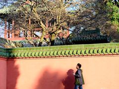 -报恩寺(平武县)