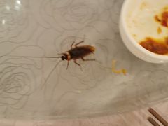 -湖滨步步高酒店·中餐厅