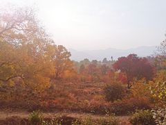 -塔川景区