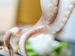 -铭聚章鱼土笋冻(松柏店)