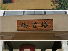 -南京老山国家森林公园