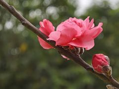 -水濂山森林公园