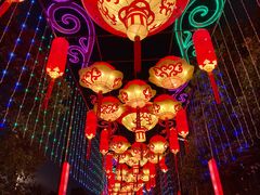 -武汉园博园(武汉自然博物馆)