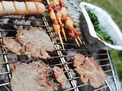 -前小桔亲子创意农场·草莓采摘·露营烧烤