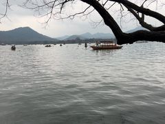 -西湖游船