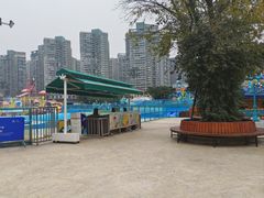 -海合安成都极地海洋公园