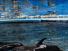 -南昌动物园