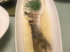 -同济大酒店(绿宝广场店)