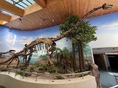 -延庆地质公园博物馆