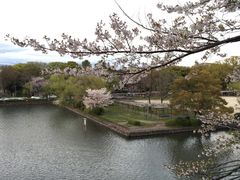 -名古屋城