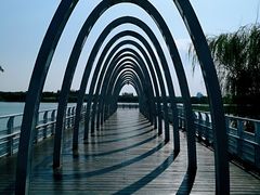 -大兴滨河森林公园