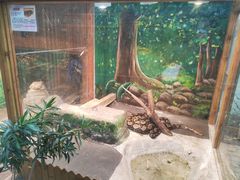 景点-上海大自然野生昆虫馆