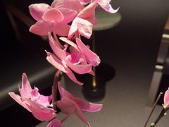 -曲水兰亭·兰亭·宴(上海虹桥店)