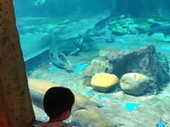 -华夏文旅海洋公园