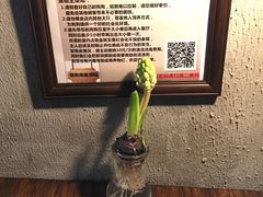 -百好乐宠物友好餐厅(朝外大街店)