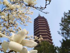 -西海子公园