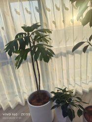 -HEYAN荷妍专业脱毛连锁机构