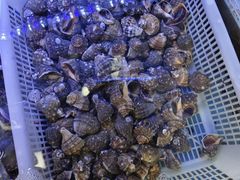 -日照大牌檔•小船海鲜(万平口店)