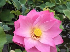 -云漫湖生态度假公园