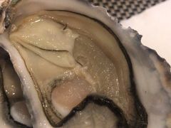 -新发展亚太JW万豪酒店·福苑咖啡厅